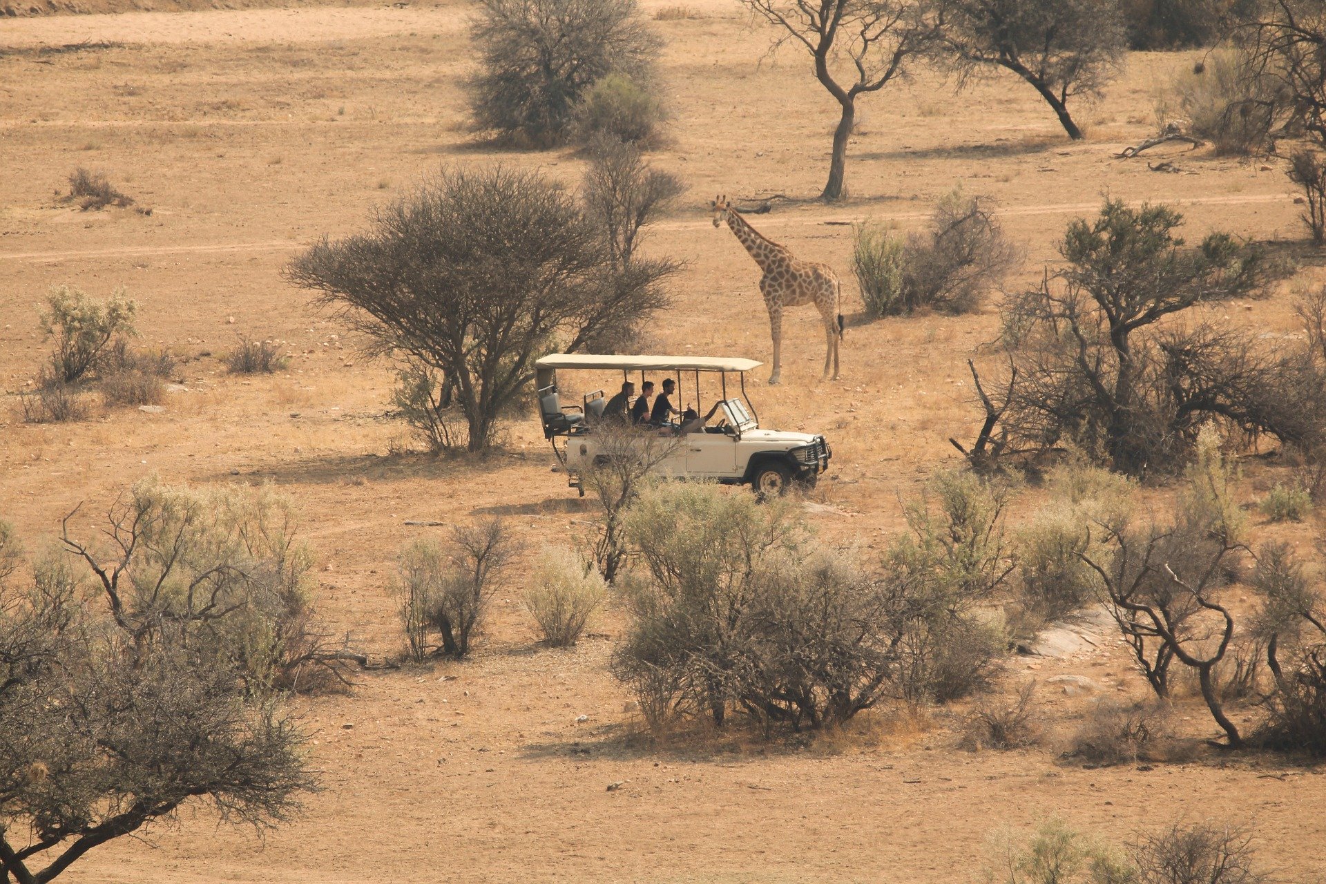How to Plan the Perfect Safari in Zimbabwe: Tips and Tricks