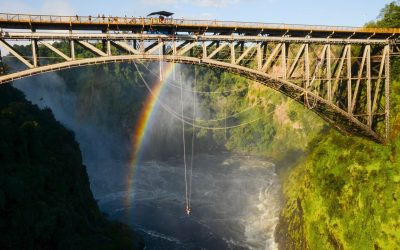 Bungee Jumping