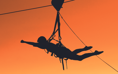 The Flying Fox